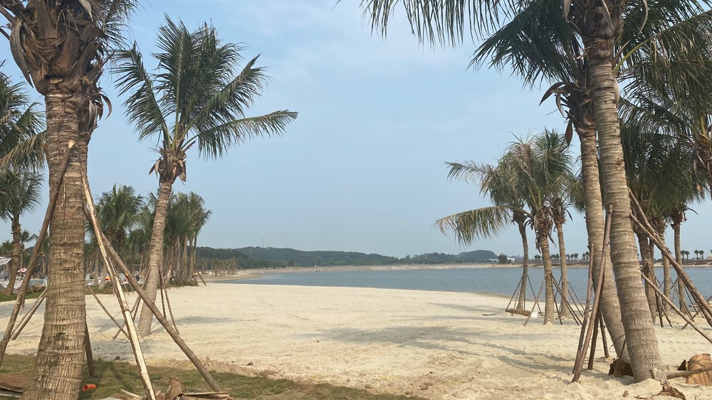Bãi tắm Đồi Rồng