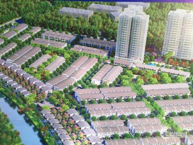 dự án sakura hải phòng