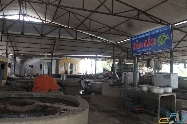 Khu nghỉ dưỡng sinh thái Đảo Bầu