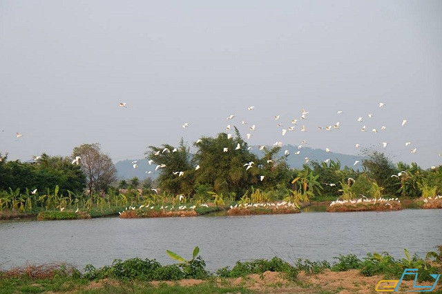 Khu du lịch sinh thái đảo bầu
