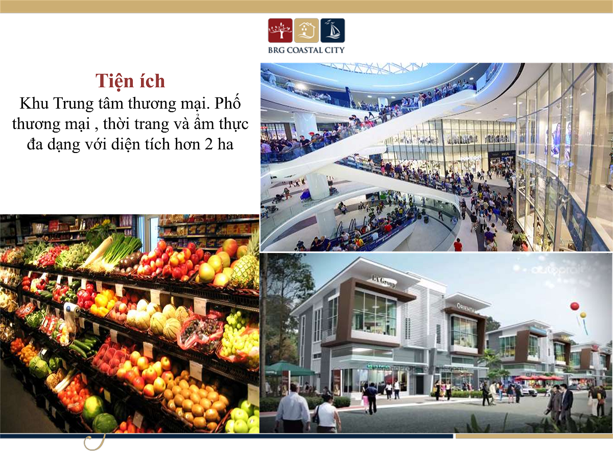 trung tâm thương mại dự án BRG Coastal City