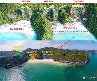 Flamingo Cat Ba Beach Resort viên ngọc sáng của cát bà