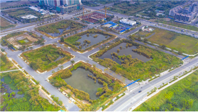 Quy định mới về bồi thường đất ở đô thị tại Hải Phòng